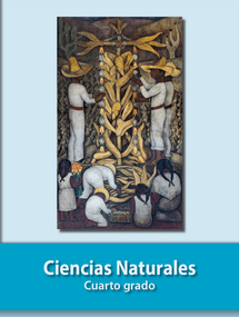 Libro de ciencias naturales cuarto grado de primaria – Descargar en PDF
